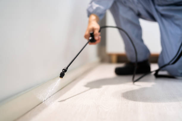 Licensed Mosquito Control service in Columbus Junction, IA - Show Me Pest Control