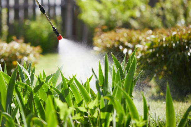 24/7 Emergency Mosquito Control experts in Columbus Junction, IA