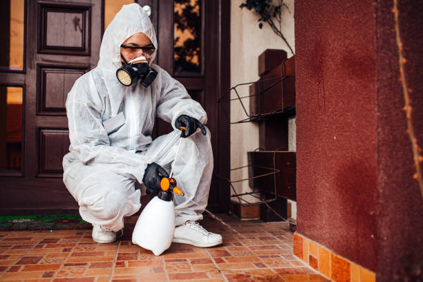 Reliable Mosquito Control contractor in Columbus Junction, IA by Show Me Pest Control